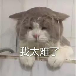 亞馬遜賣家必需要知道的關(guān)于亞馬遜“二審”問題