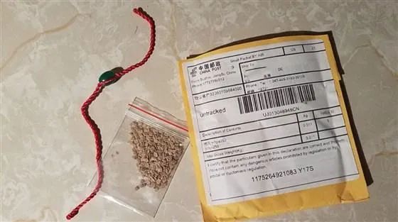 亞馬遜禁止外國(guó)植物或種子銷往美國(guó)！歐洲站零售副總裁將于年底離職！