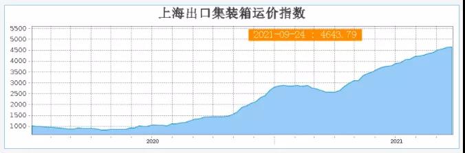 美西線“3天跌去3個(gè)月的漲幅”！囤柜炒柜恐砸在手里！