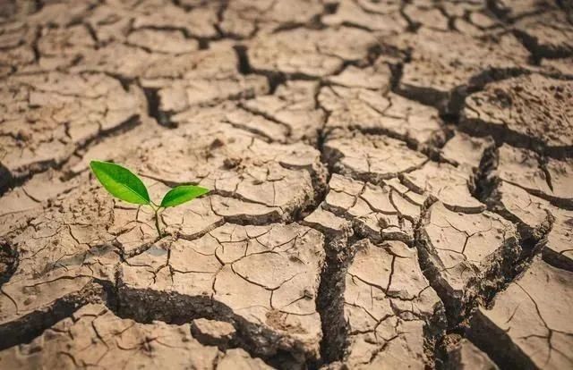 阿根廷：通脹破100%，遭遇60年來(lái)最