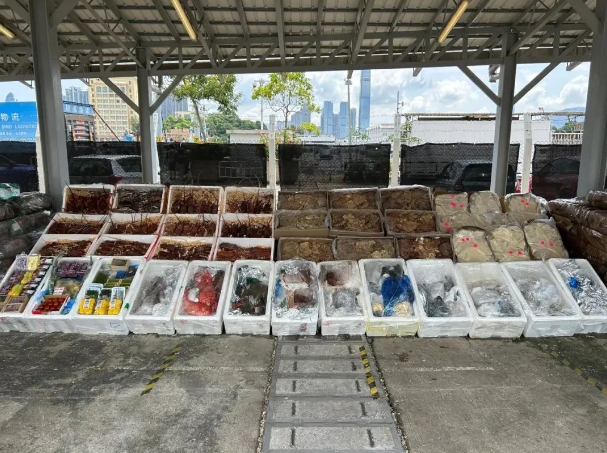 船員走私日本水產(chǎn)，被香港海關(guān)緝獲！
